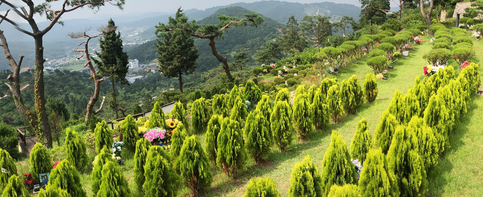 수목장2.jpg
