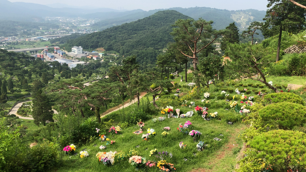 수목장_3.jpg